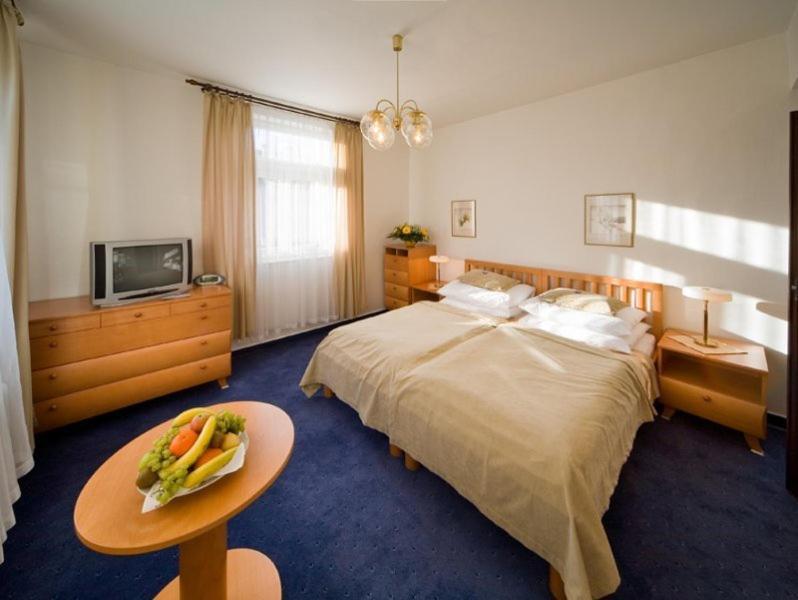 Monti Spa Františkovy Lázně Rom bilde