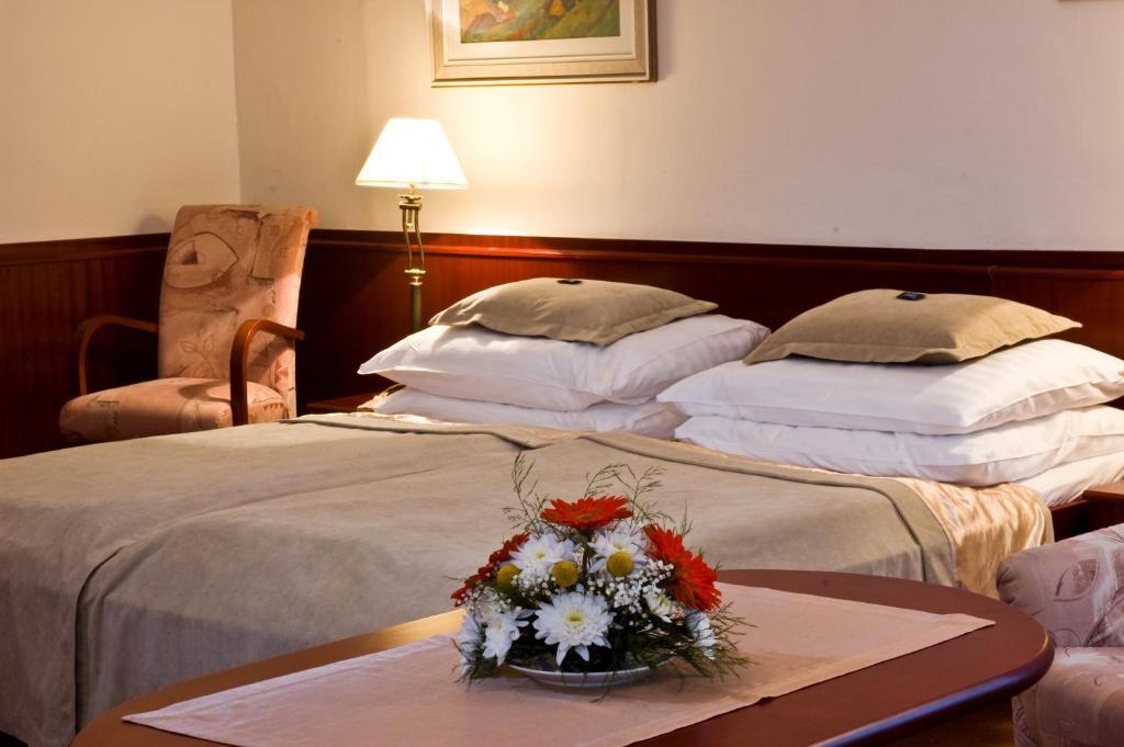 Monti Spa Františkovy Lázně Rom bilde